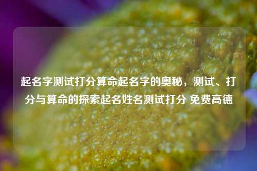 起名字测试打分算命起名字的奥秘，测试、打分与算命的探索起名姓名测试打分 免费高德