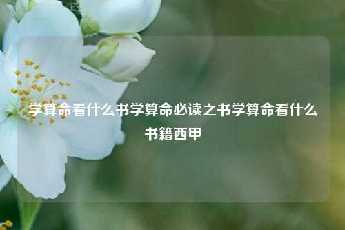 学算命看什么书学算命必读之书学算命看什么书籍西甲