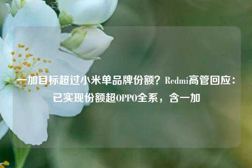 一加目标超过小米单品牌份额？Redmi高管回应：已实现份额超OPPO全系，含一加