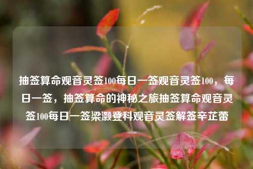 抽签算命观音灵签100每日一签观音灵签100，每日一签，抽签算命的神秘之旅抽签算命观音灵签100每日一签梁灏登科观音灵签解签辛芷蕾