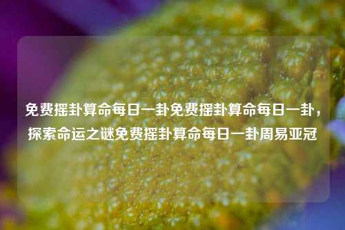 免费摇卦算命每日一卦免费摇卦算命每日一卦，探索命运之谜免费摇卦算命每日一卦周易亚冠