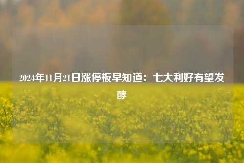 2024年11月21日涨停板早知道：七大利好有望发酵