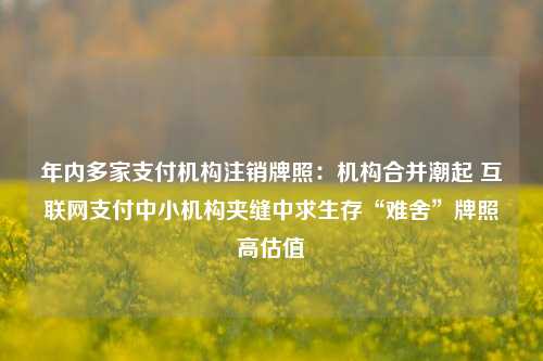 年内多家支付机构注销牌照：机构合并潮起 互联网支付中小机构夹缝中求生存“难舍”牌照高估值