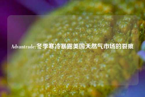 Advantrade:冬季寒冷暴露美国天然气市场的裂痕