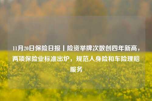 11月20日保险日报丨险资举牌次数创四年新高，两项保险业标准出炉，规范人身险和车险理赔服务