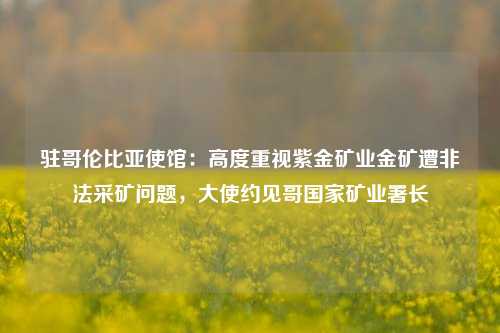 驻哥伦比亚使馆：高度重视紫金矿业金矿遭非法采矿问题，大使约见哥国家矿业署长