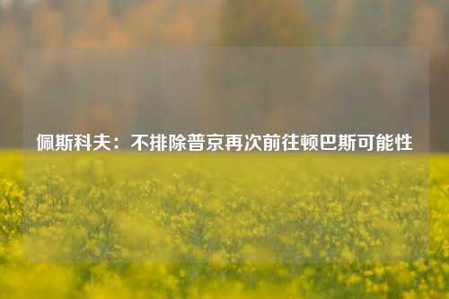 佩斯科夫：不排除普京再次前往顿巴斯可能性