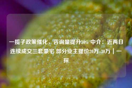 一揽子政策催化，咨询量提升30% 中介：近两日连续成交三套豪宅 部分业主提价20万-30万｜一探