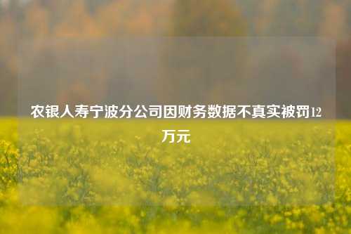 农银人寿宁波分公司因财务数据不真实被罚12万元