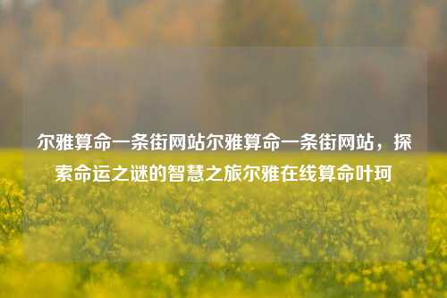 尔雅算命一条街网站尔雅算命一条街网站，探索命运之谜的智慧之旅尔雅在线算命叶珂