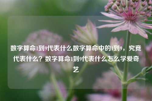 数字算命1到9代表什么数字算命中的1到9，究竟代表什么？数字算命1到9代表什么怎么学爱奇艺