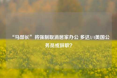 “马部长”将强制取消居家办公 多达1/4美国公务员或辞职？