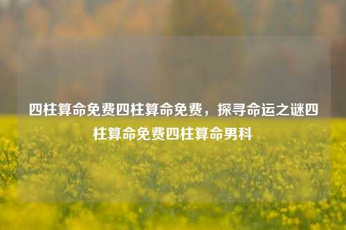 四柱算命免费四柱算命免费，探寻命运之谜四柱算命免费四柱算命男科