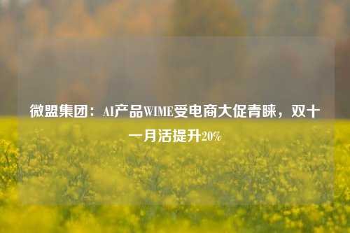 微盟集团：AI产品WIME受电商大促青睐，双十一月活提升20%