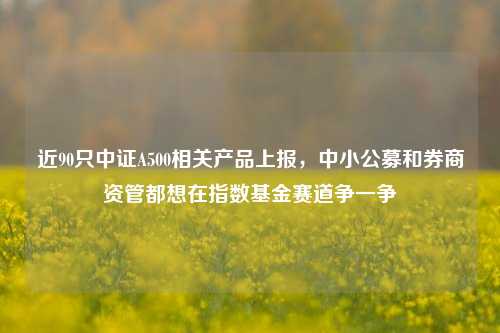 近90只中证A500相关产品上报，中小公募和券商资管都想在指数基金赛道争一争