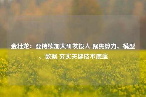 金壮龙：要持续加大研发投入 聚焦算力、模型、数据 夯实关键技术底座