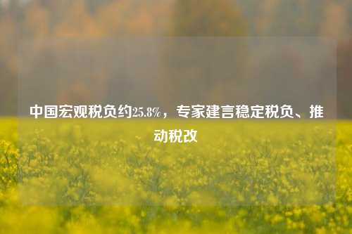 中国宏观税负约25.8%，专家建言稳定税负、推动税改