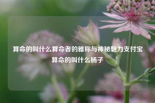 算命的叫什么算命者的雅称与神秘魅力支付宝算命的叫什么杨子