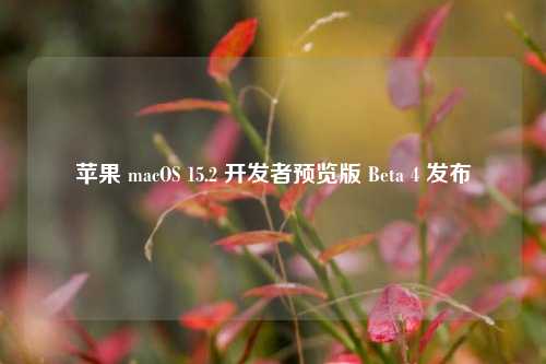 苹果 macOS 15.2 开发者预览版 Beta 4 发布