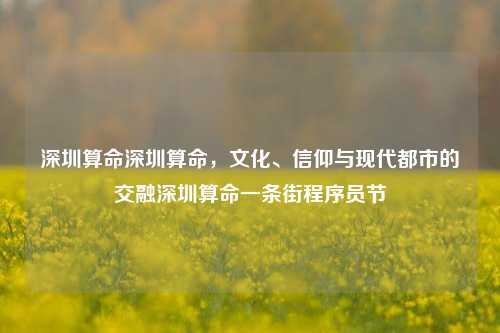 深圳算命深圳算命，文化、信仰与现代都市的交融深圳算命一条街程序员节