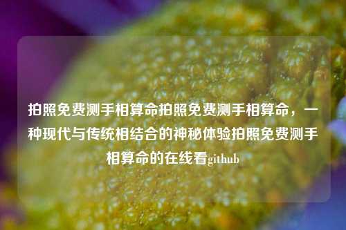 拍照免费测手相算命拍照免费测手相算命，一种现代与传统相结合的神秘体验拍照免费测手相算命的在线看github