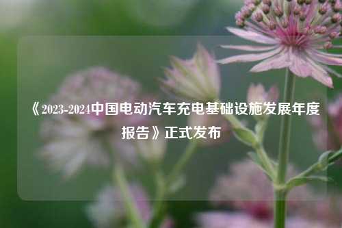 《2023-2024中国电动汽车充电基础设施发展年度报告》正式发布