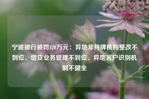 宁波银行被罚120万元：异地非持牌机构整改不到位、信贷业务管理不到位、异地客户识别机制不健全