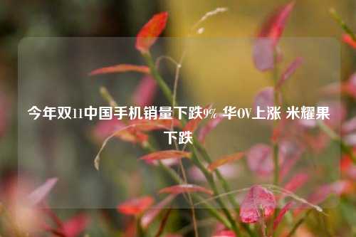 今年双11中国手机销量下跌9% 华OV上涨 米耀果下跌