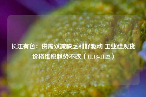 长江有色：供需双减缺乏利好驱动 工业硅现货价格维稳趋势不改（11.18-11.22）