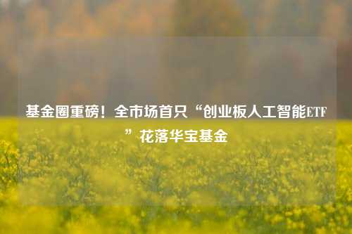 基金圈重磅！全市场首只“创业板人工智能ETF”花落华宝基金