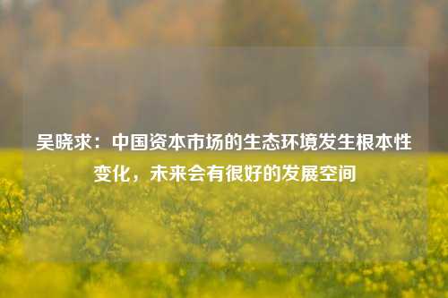 吴晓求：中国资本市场的生态环境发生根本性变化，未来会有很好的发展空间