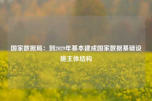 国家数据局：到2029年基本建成国家数据基础设施主体结构