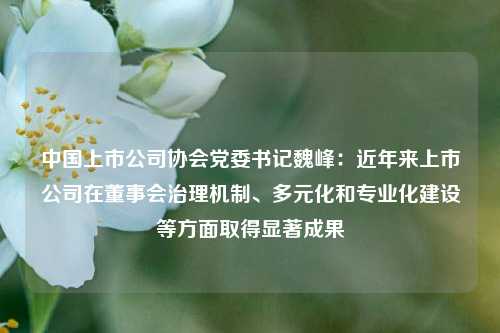 中国上市公司协会党委书记魏峰：近年来上市公司在董事会治理机制、多元化和专业化建设等方面取得显著成果