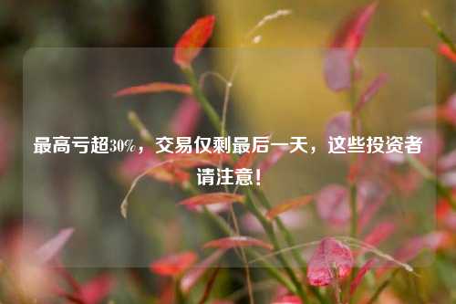 最高亏超30%，交易仅剩最后一天，这些投资者请注意！