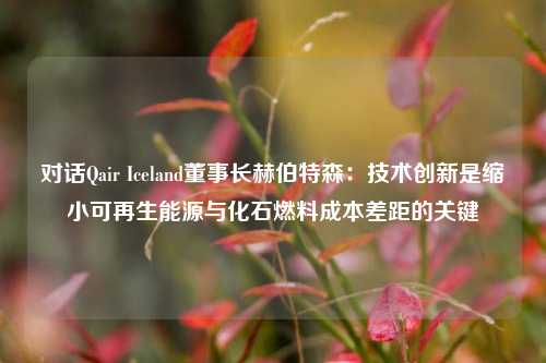 对话Qair Iceland董事长赫伯特森：技术创新是缩小可再生能源与化石燃料成本差距的关键