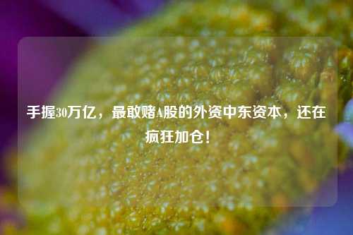 手握30万亿，最敢赌A股的外资中东资本，还在疯狂加仓！