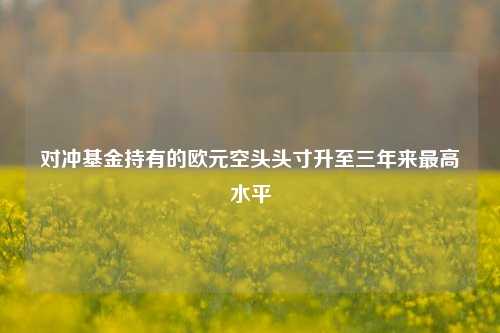 对冲基金持有的欧元空头头寸升至三年来最高水平