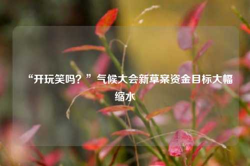 “开玩笑吗？”气候大会新草案资金目标大幅缩水