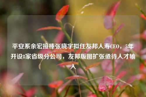 平安系余宏接棒张晓宇拟任友邦人寿CEO，5年开设8家省级分公司，友邦版图扩张亟待人才输入