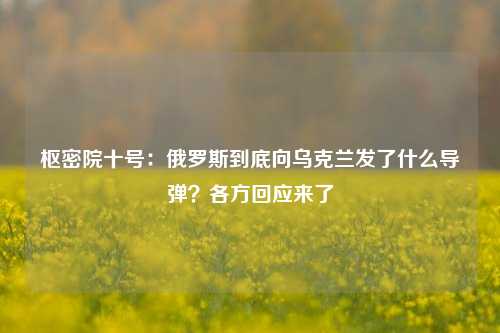 枢密院十号：俄罗斯到底向乌克兰发了什么导弹？各方回应来了