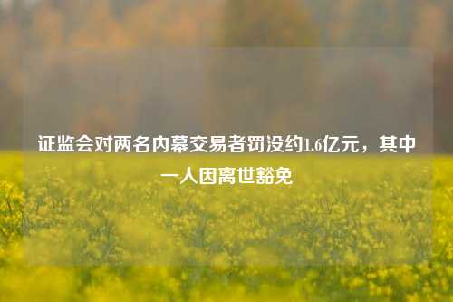 证监会对两名内幕交易者罚没约1.6亿元，其中一人因离世豁免