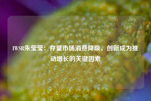 IWSR朱莹莹：存量市场消费降级，创新成为推动增长的关键因素