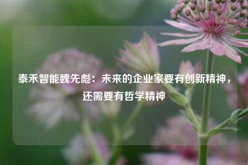 泰禾智能魏先彪：未来的企业家要有创新精神，还需要有哲学精神