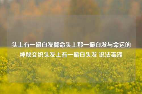 头上有一撮白发算命头上那一撮白发与命运的神秘交织头发上有一撮白头发 说法毒液