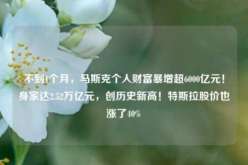 不到1个月，马斯克个人财富暴增超6000亿元！身家达2.52万亿元，创历史新高！特斯拉股价也涨了40%