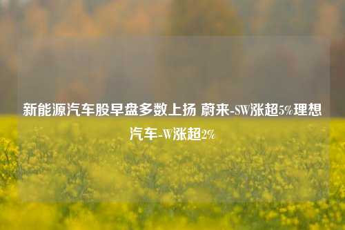 新能源汽车股早盘多数上扬 蔚来-SW涨超5%理想汽车-W涨超2%