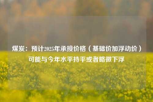 煤炭：预计2025年承接价格（基础价加浮动价）可能与今年水平持平或者略微下浮