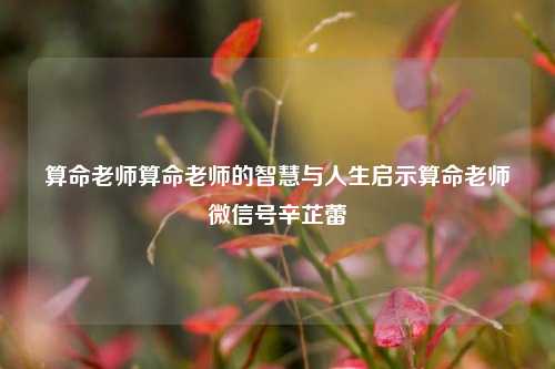 算命老师算命老师的智慧与人生启示算命老师微信号辛芷蕾