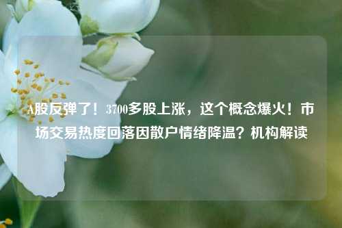 A股反弹了！3700多股上涨，这个概念爆火！市场交易热度回落因散户情绪降温？机构解读