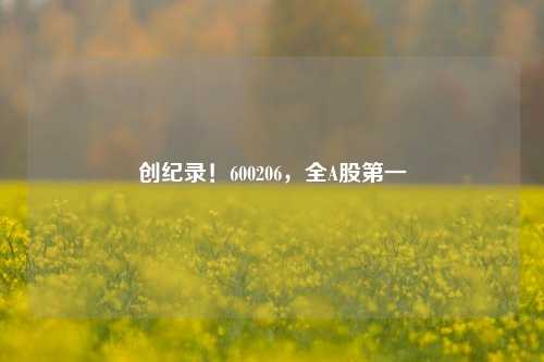 创纪录！600206，全A股第一